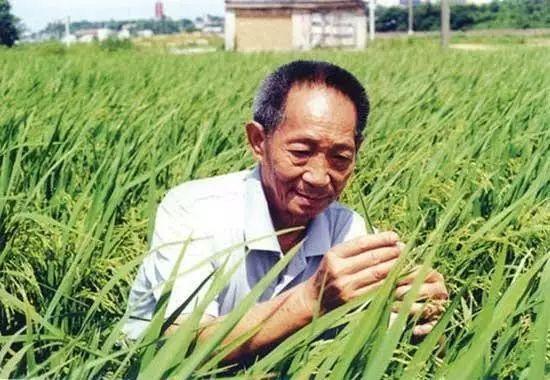 一日三餐，米香彌漫，飽食者當(dāng)憶袁公！