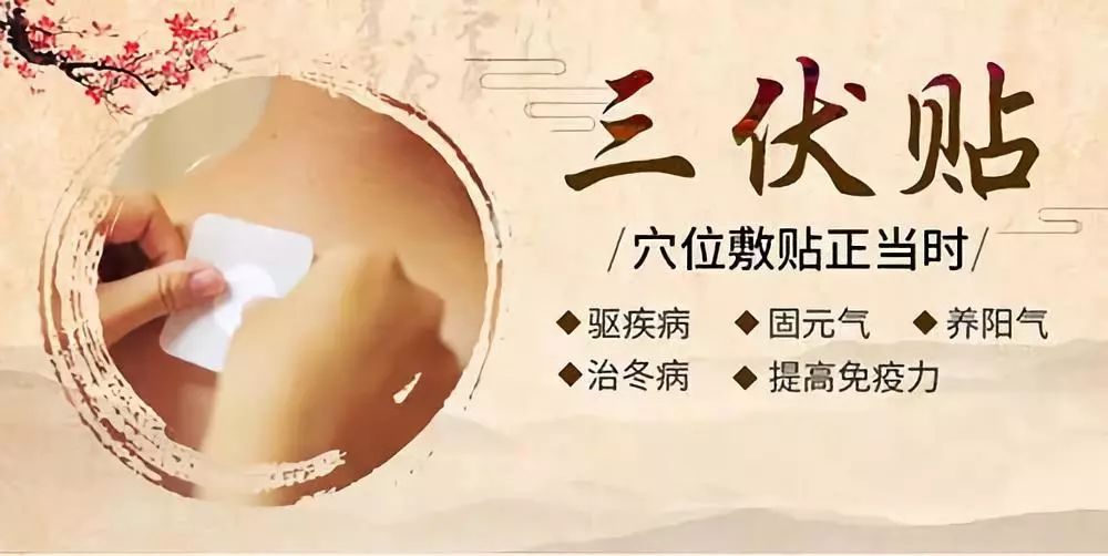 關(guān)于三伏貼，你了解多少呢？