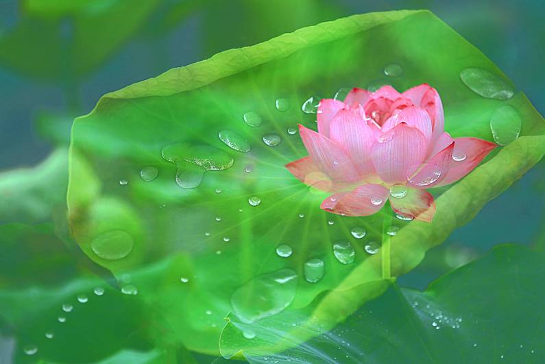醫(yī)療器械網(wǎng)：失眠該怎么辦？